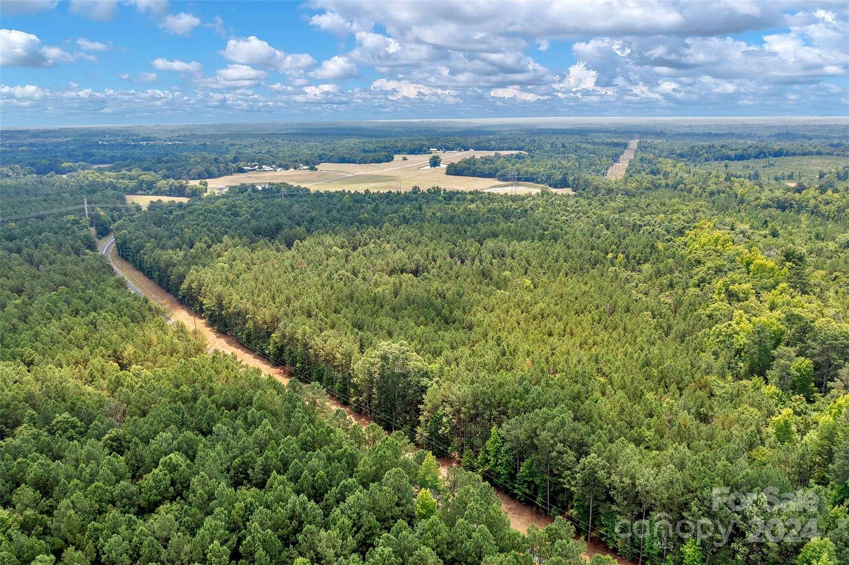 21.5 Acres of Recreational Land for Sale in Chester, South Carolina