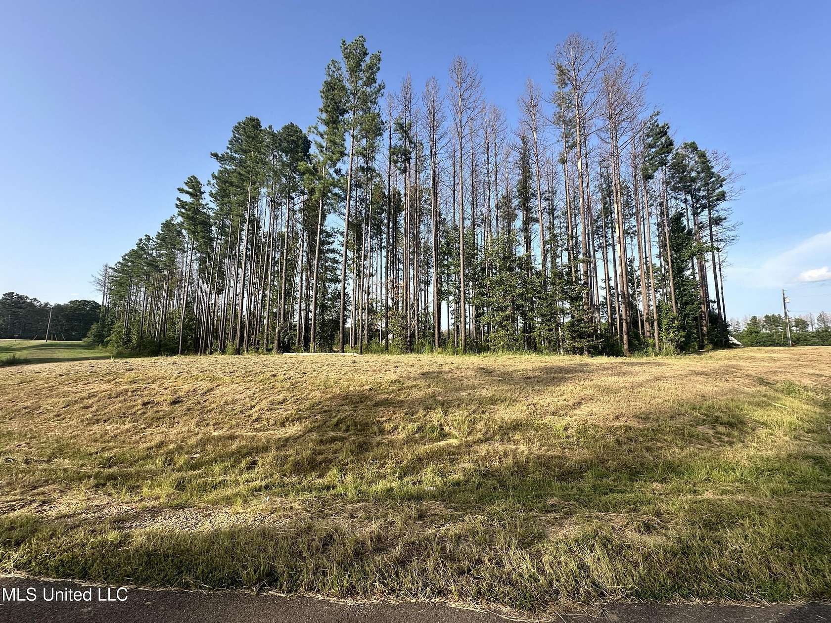 1.66 Acres of Residential Land for Sale in Brandon, Mississippi