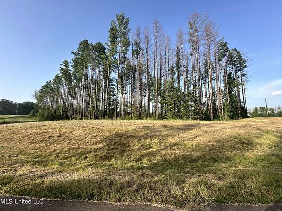 1.66 Acres of Residential Land for Sale in Brandon, Mississippi