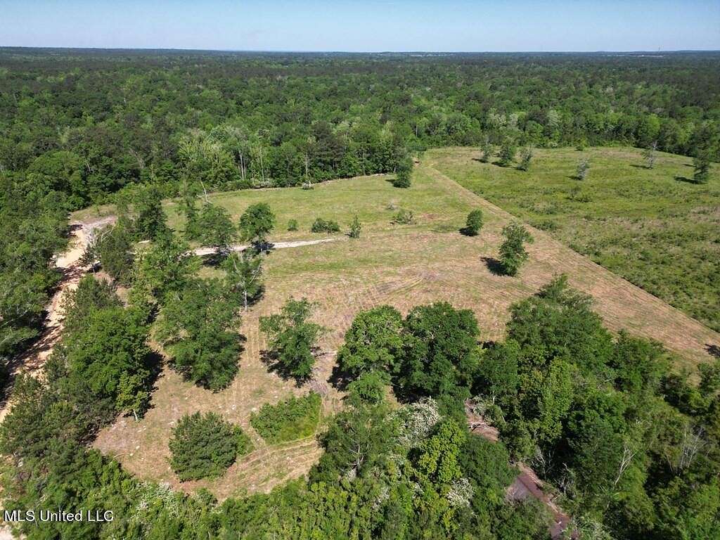 11.16 Acres of Agricultural Land for Sale in Poplarville, Mississippi