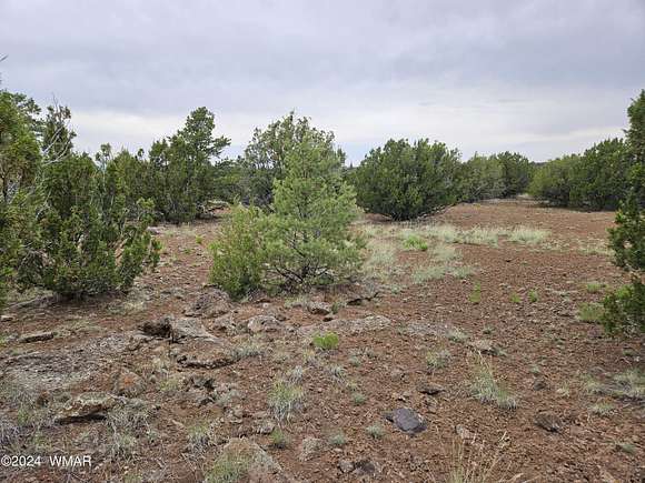 1.16 Acres of Residential Land for Sale in Concho, Arizona