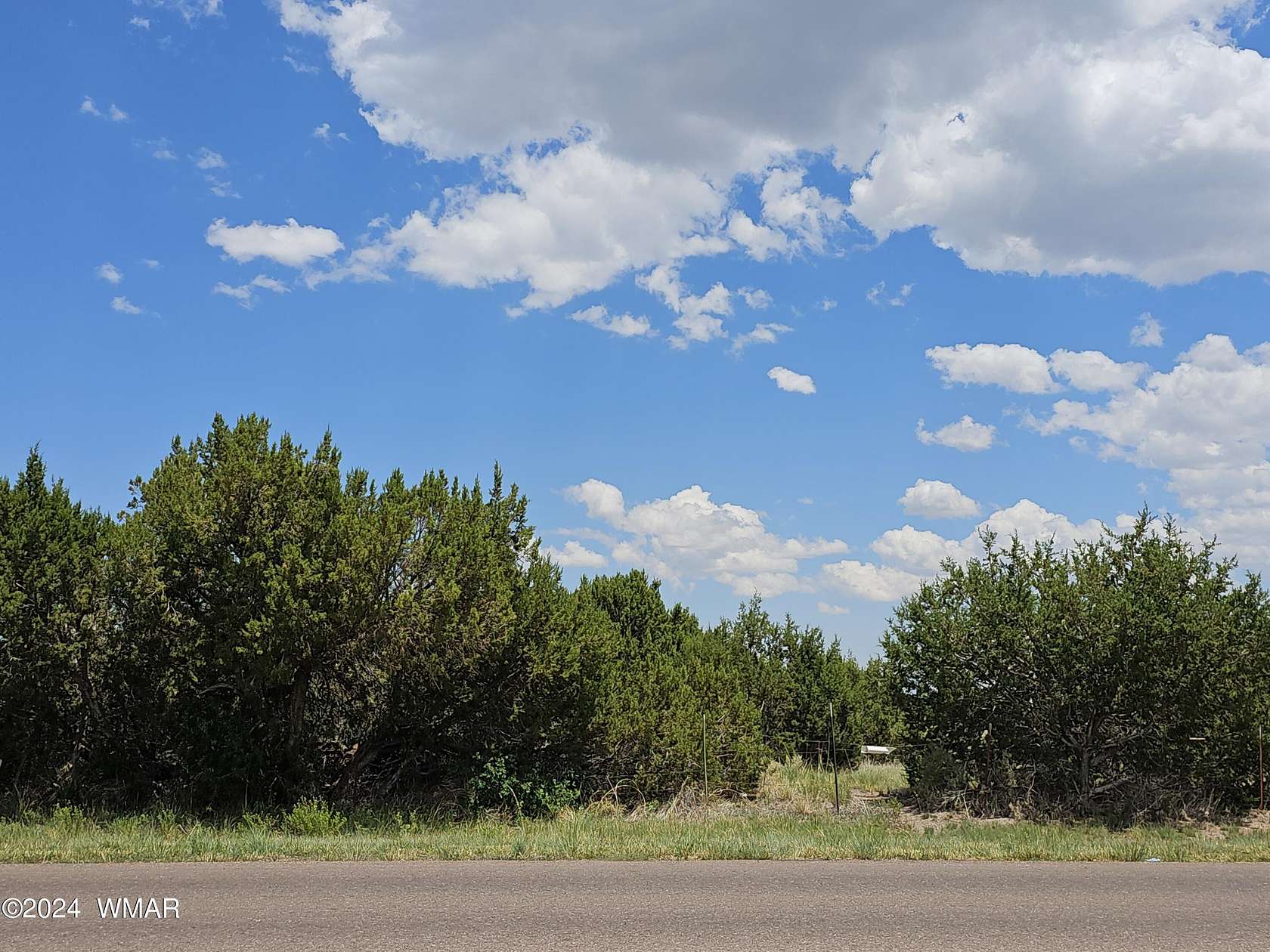 9.03 Acres of Residential Land for Sale in Eagar, Arizona