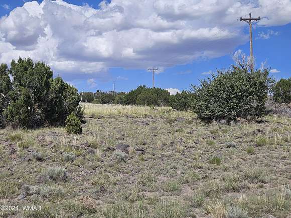 5.37 Acres of Residential Land for Sale in Concho, Arizona