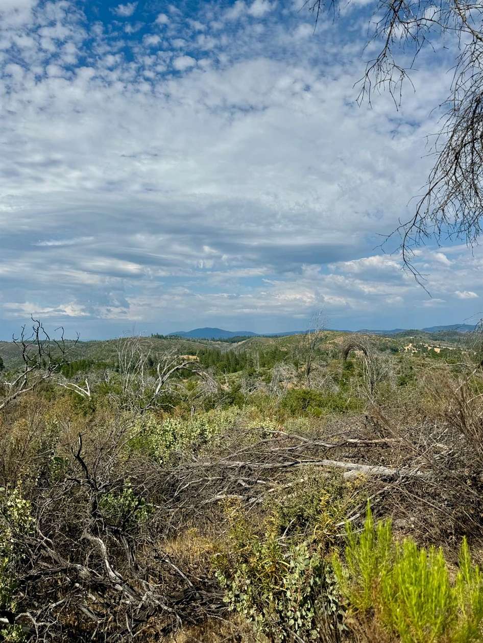 10 Acres of Residential Land for Sale in Mountain Ranch, California