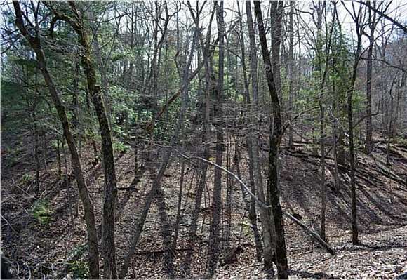 1.47 Acres of Residential Land for Sale in Big Canoe, Georgia