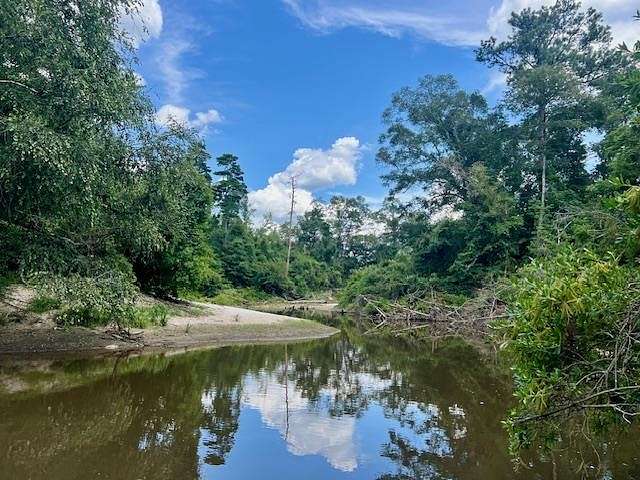 53.5 Acres of Recreational Land for Sale in Poplarville, Mississippi