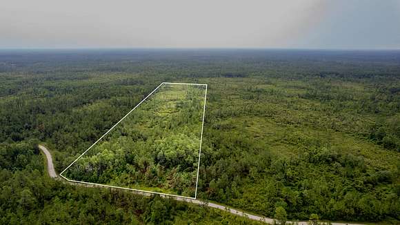 19.41 Acres of Land for Sale in Greenville, Florida