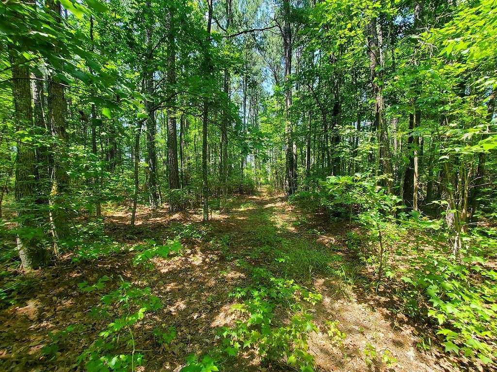5 Acres of Residential Land for Sale in Blackstone, Virginia
