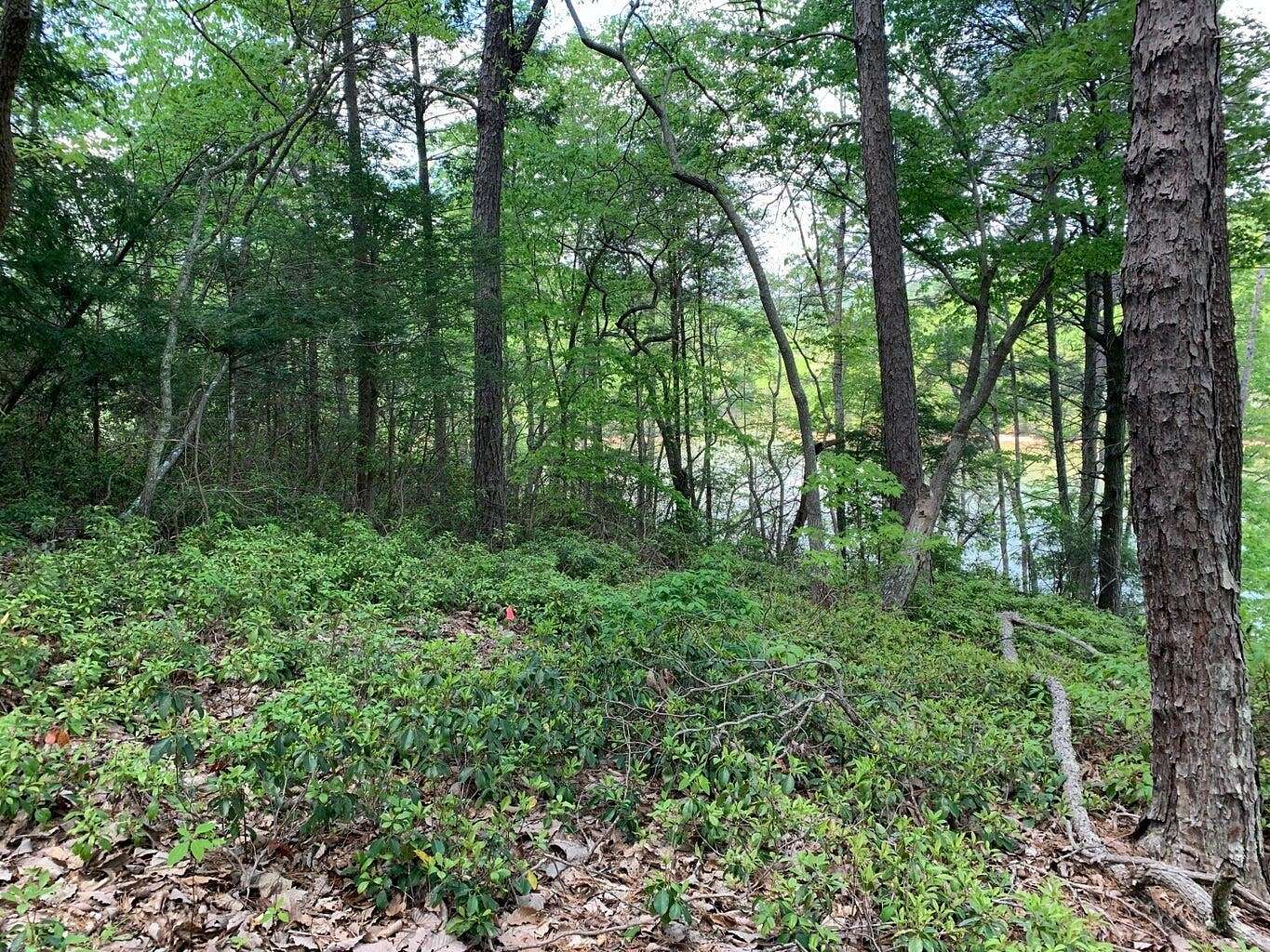 1.44 Acres of Residential Land for Sale in Pittsville, Virginia