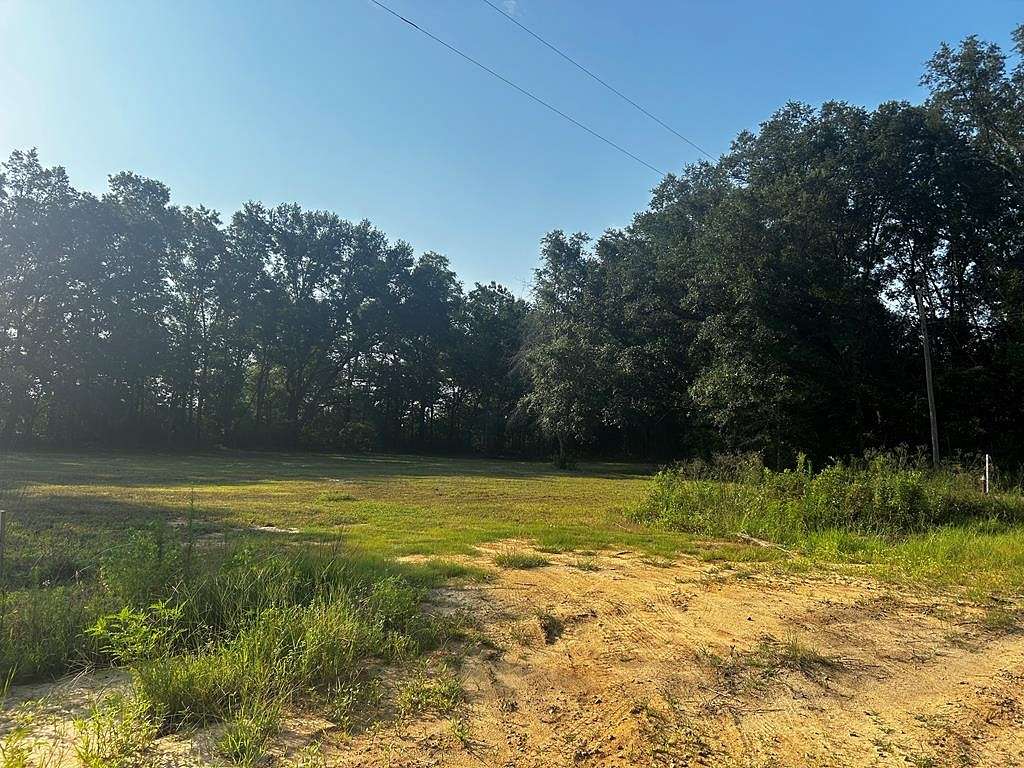 1 Acre of Residential Land for Sale in Ashford, Alabama