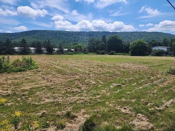 0.84 Acres of Land for Sale in Beaver Dams, New York