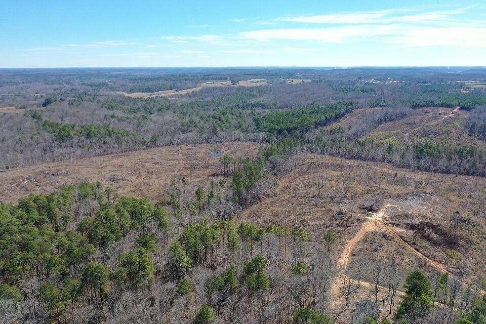 25 Acres of Recreational Land for Sale in Arley, Alabama