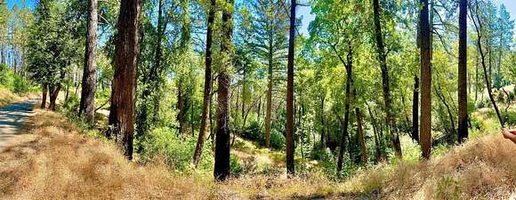 2 Acres of Residential Land for Sale in Napa, California