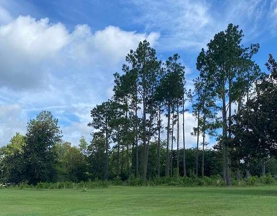 1.2 Acres of Residential Land for Sale in Cairo, Georgia