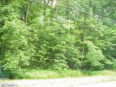 0.27 Acres of Land for Sale in West Salem, Ohio