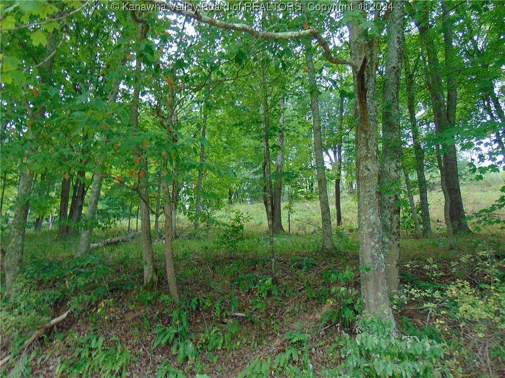 3.45 Acres of Land for Sale in Ravenswood, West Virginia