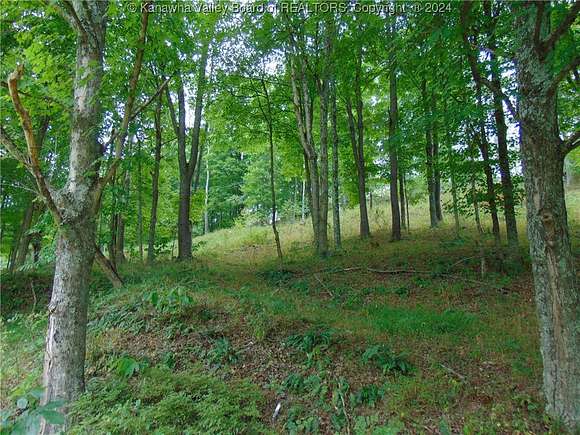 3.45 Acres of Land for Sale in Ravenswood, West Virginia