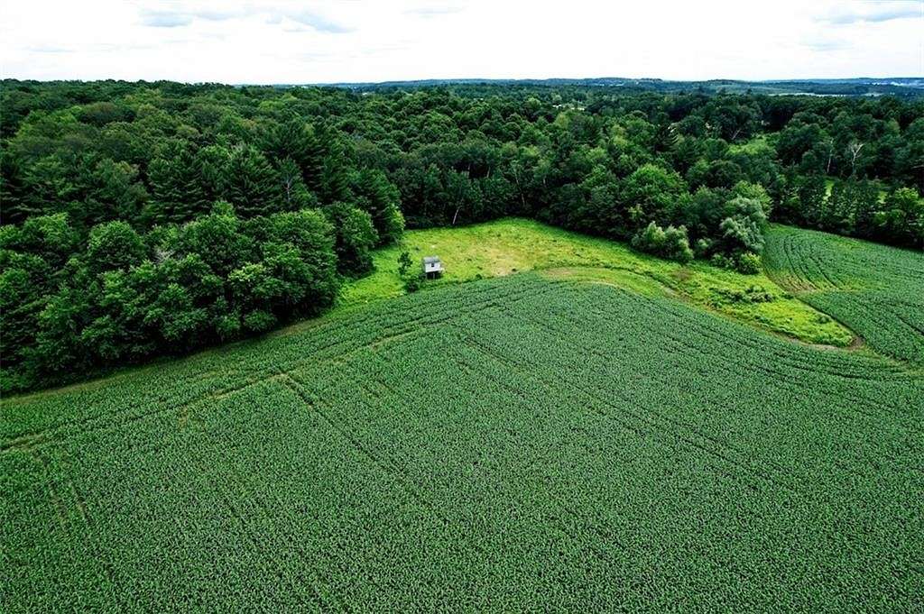 65.47 Acres of Recreational Land for Sale in Dallas, Wisconsin