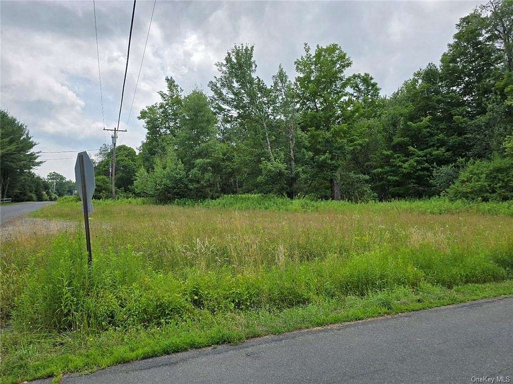 0.99 Acres of Residential Land for Sale in Fallsburg, New York