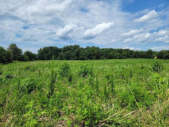 20 Acres of Agricultural Land for Sale in Sunman, Indiana