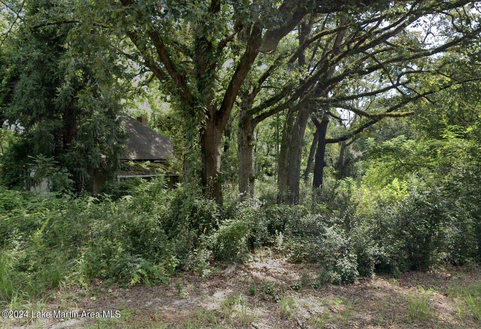 6.2 Acres of Improved Residential Land for Sale in Dadeville, Alabama