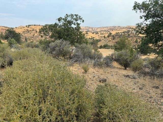1.36 Acres of Land for Sale in Hornbrook, California