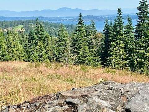 19.13 Acres of Land for Sale in Harrison, Idaho