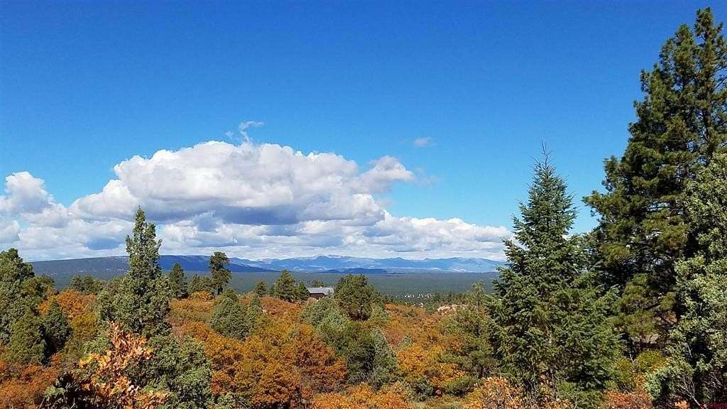 5.01 Acres of Residential Land for Sale in Pagosa Springs, Colorado