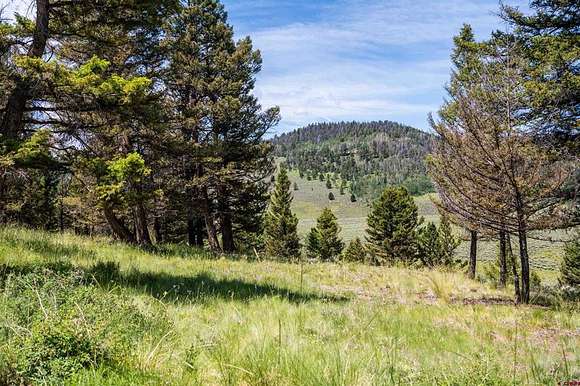 2.1 Acres of Residential Land for Sale in Powderhorn, Colorado