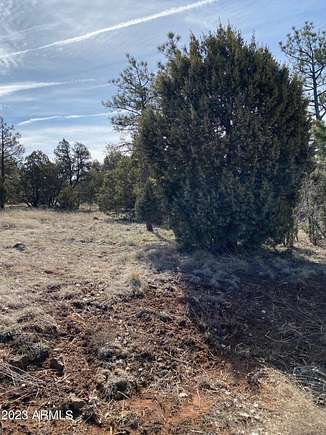 0.29 Acres of Residential Land for Sale in Lakeside, Arizona