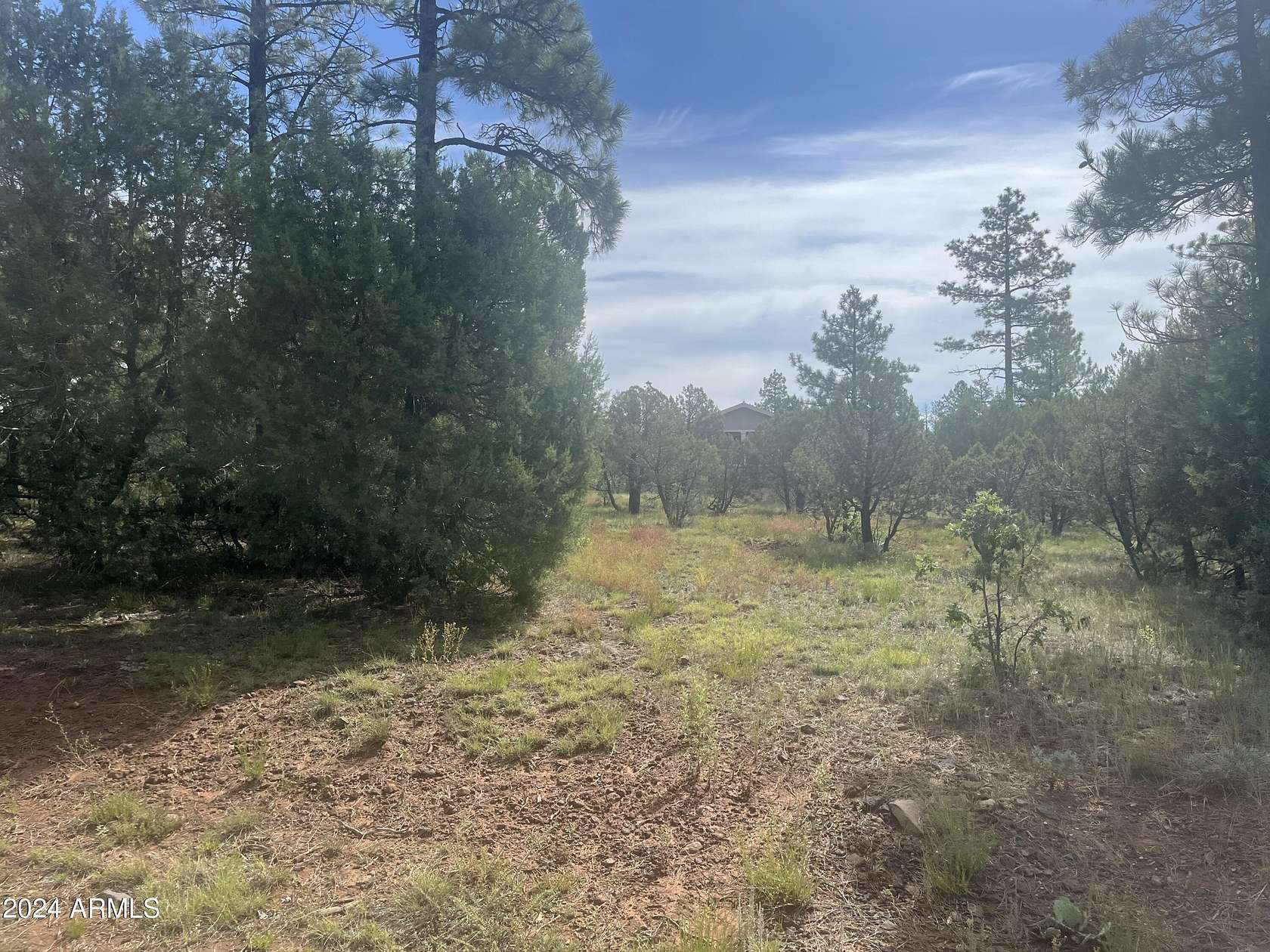 0.23 Acres of Residential Land for Sale in Lakeside, Arizona