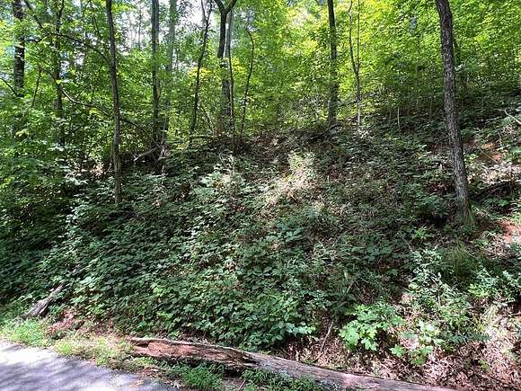 6 Acres of Land for Sale in Hayesville, North Carolina