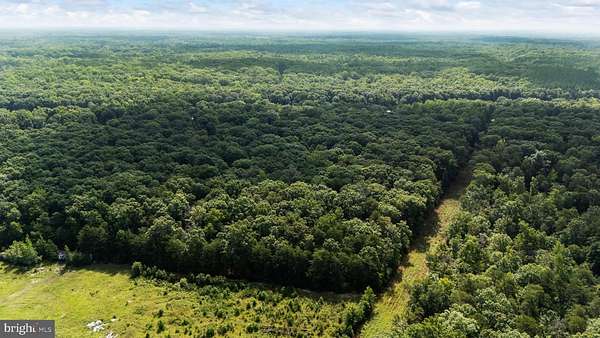 46.8 Acres of Land for Sale in Fredericksburg, Virginia