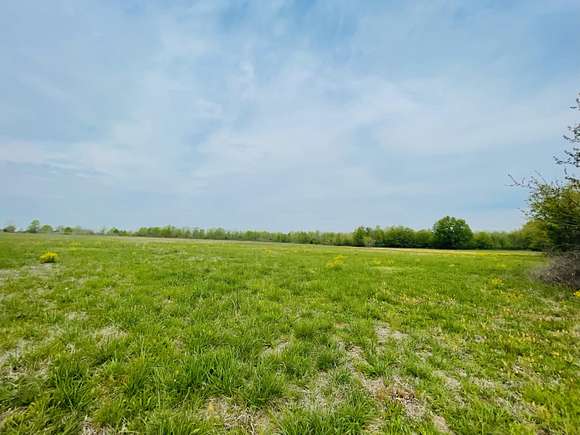 75.8 Acres of Recreational Land for Sale in Moundville, Missouri