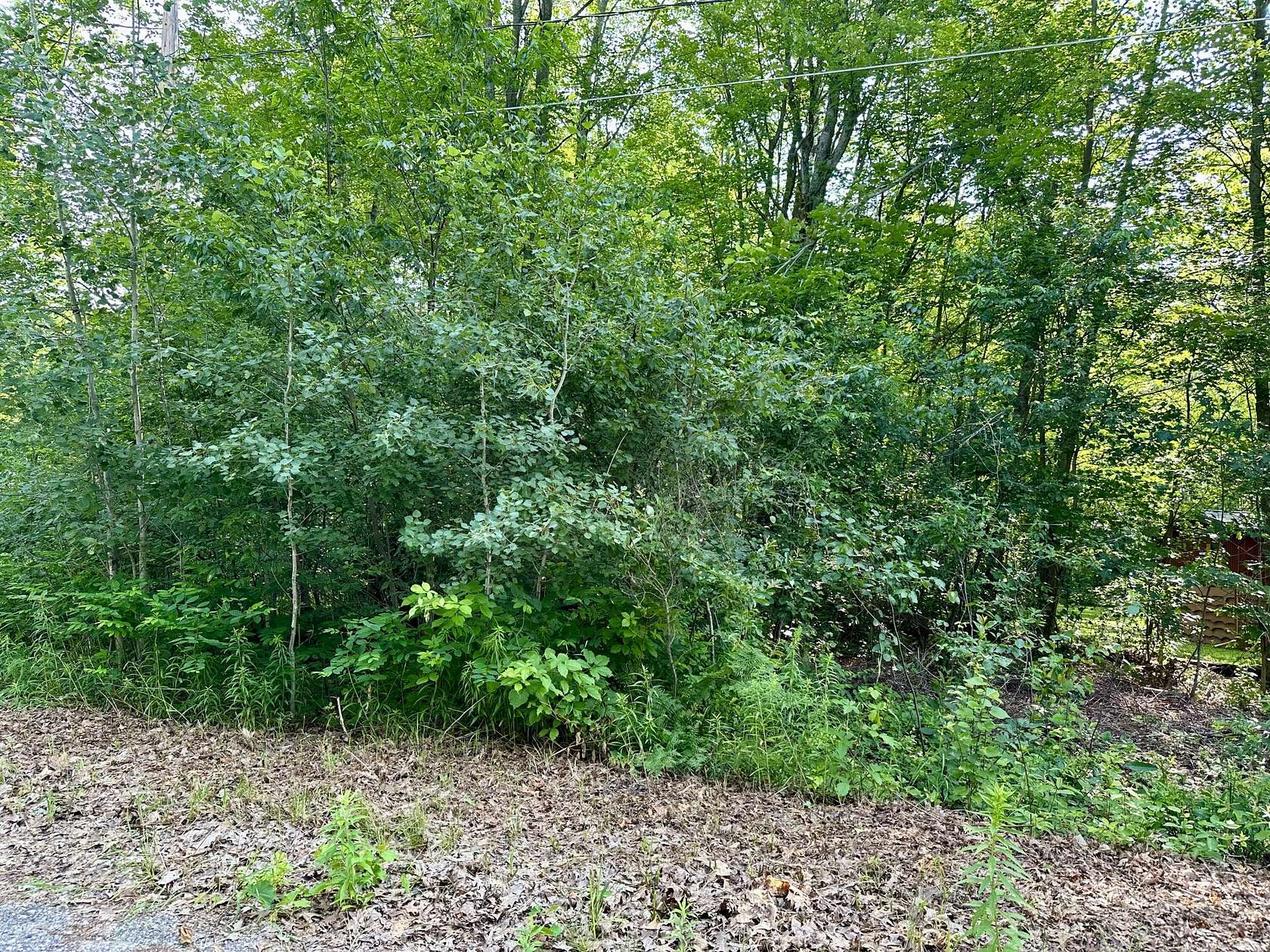 0.346 Acres of Land for Sale in Roscommon, Michigan