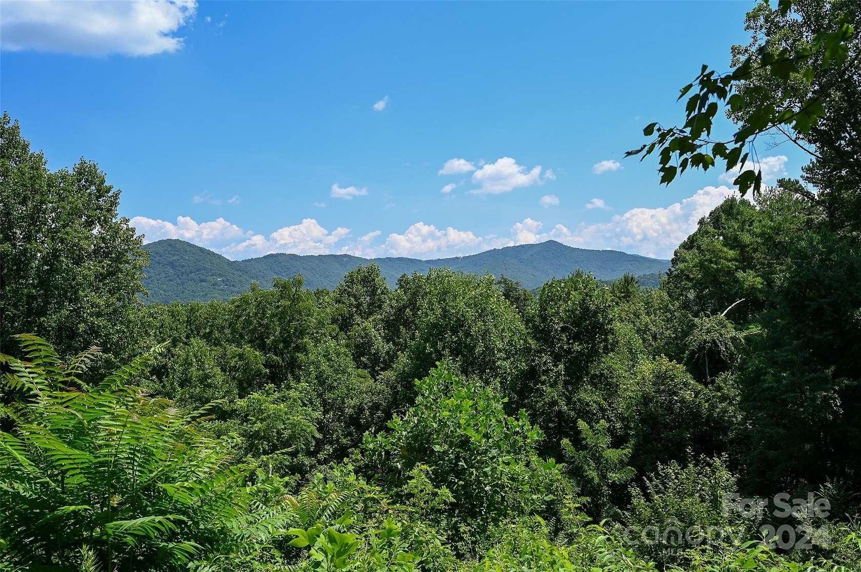 1.13 Acres of Residential Land for Sale in Asheville, North Carolina