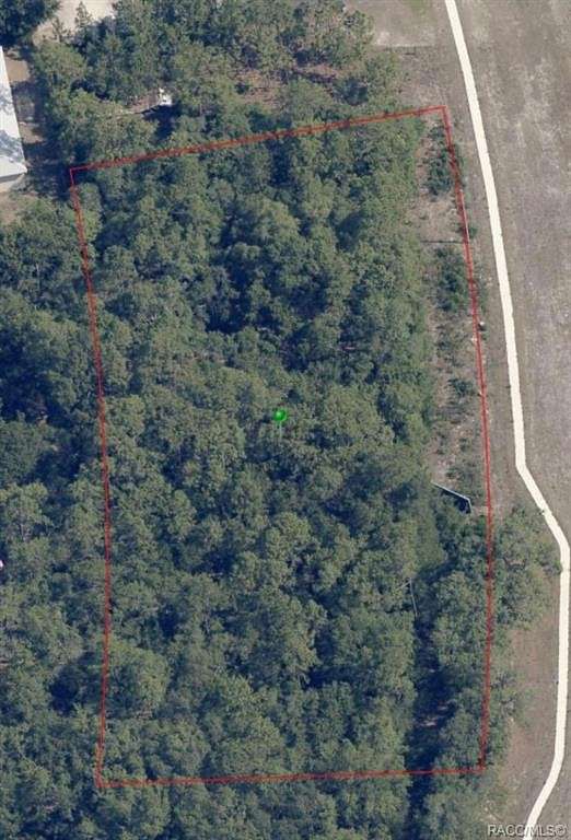 2.31 Acres of Residential Land for Sale in Homosassa, Florida