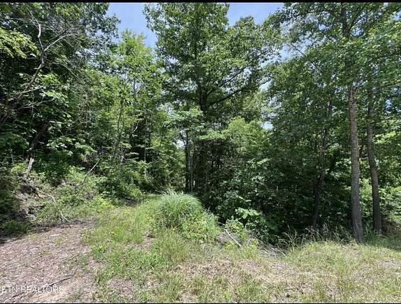 50 Acres of Recreational Land & Farm for Sale in Frakes, Kentucky