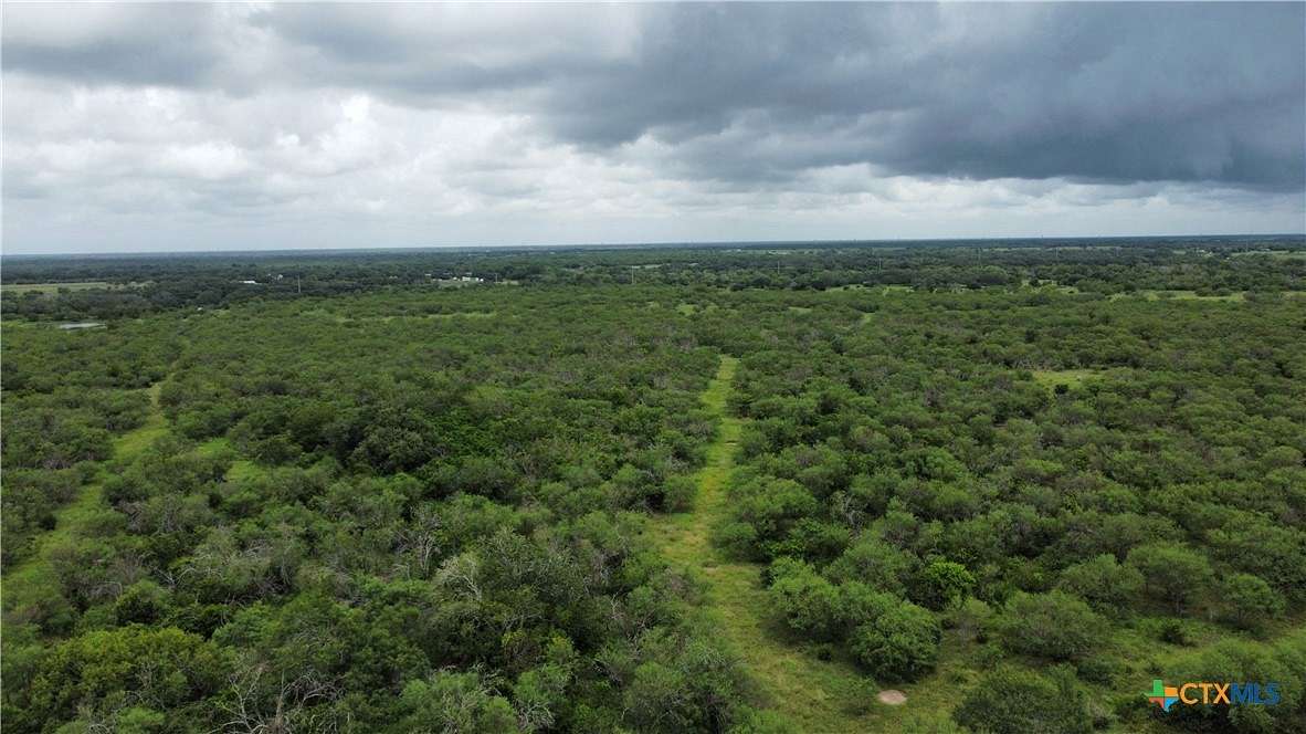 100 Acres of Agricultural Land for Sale in Goliad, Texas