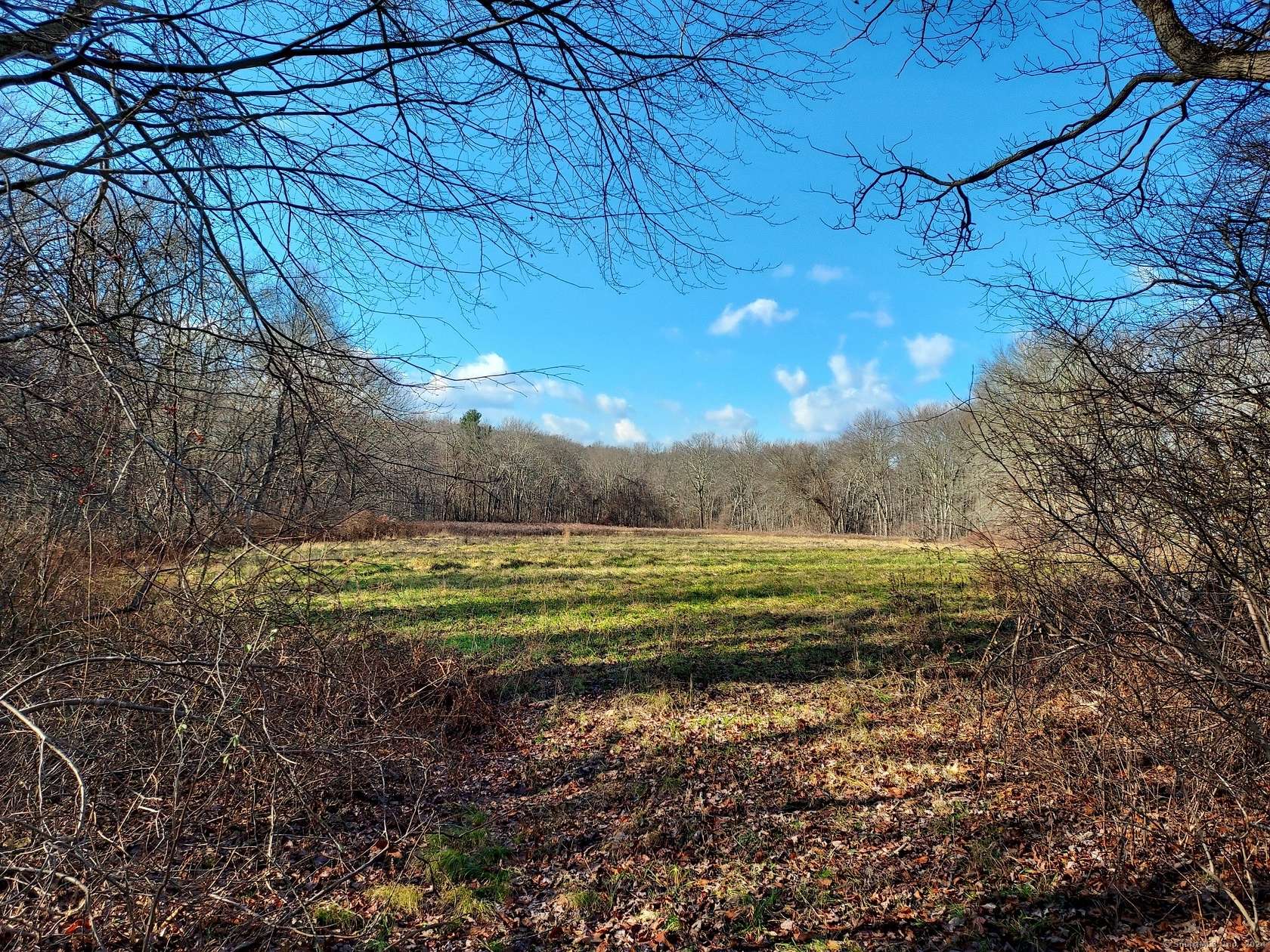 70 Acres of Agricultural Land for Sale in Colchester, Connecticut