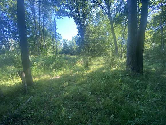 9.96 Acres of Residential Land for Sale in Jonesville, Michigan