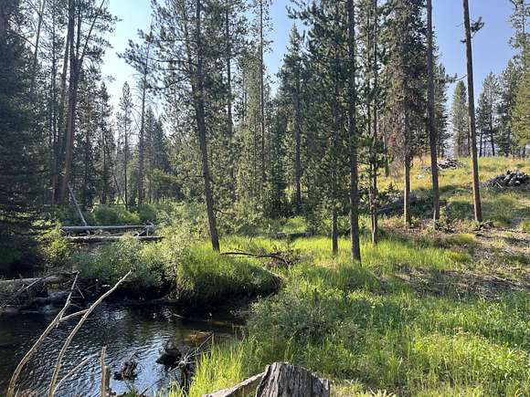 0.46 Acres of Residential Land for Sale in Stanley, Idaho