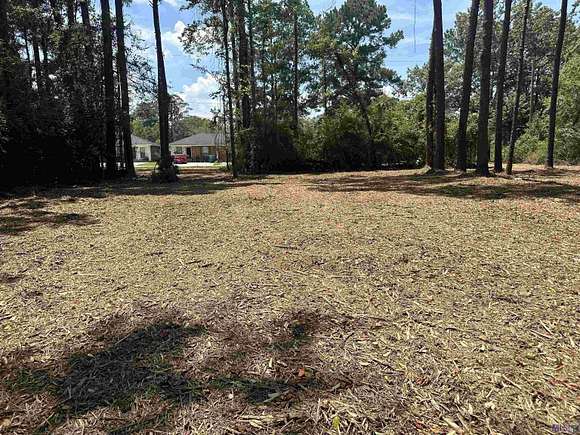 2 Acres of Commercial Land for Sale in Denham Springs, Louisiana