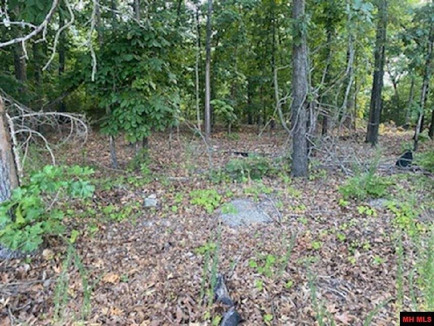 0.85 Acres of Land for Sale in Bull Shoals, Arkansas