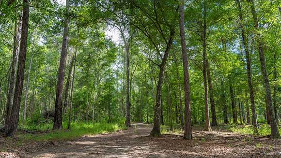 32 Acres of Land for Auction in Whigham, Georgia