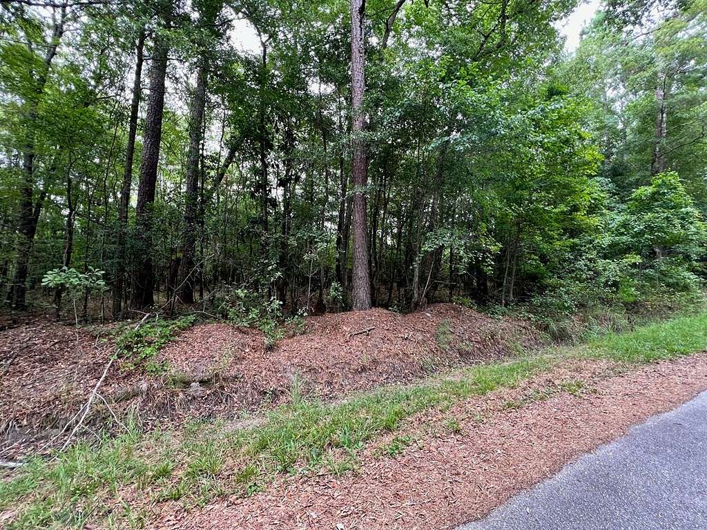 2.3 Acres of Residential Land for Sale in Pinewood, South Carolina