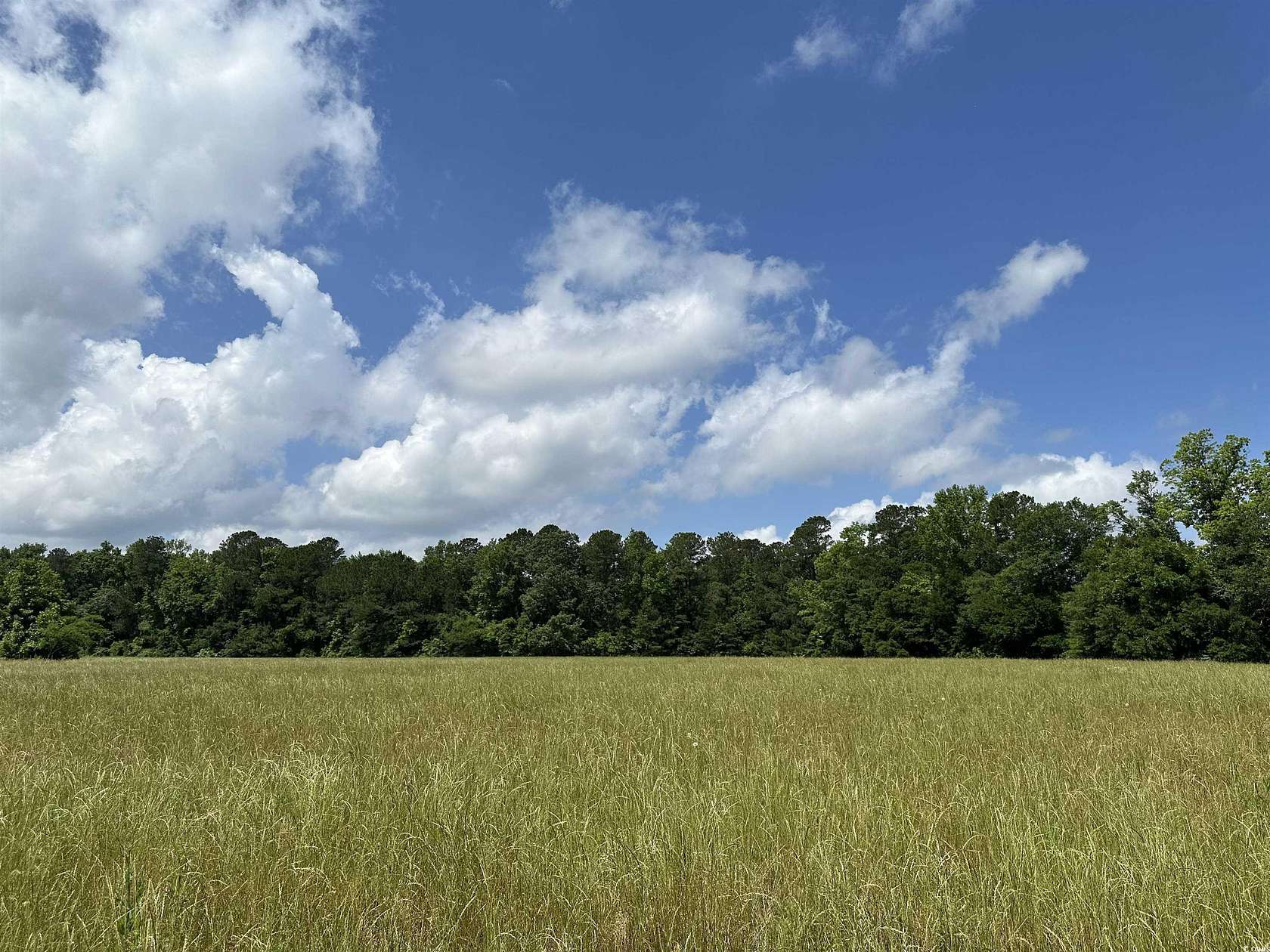 16.42 Acres of Land for Sale in Greeleyville, South Carolina