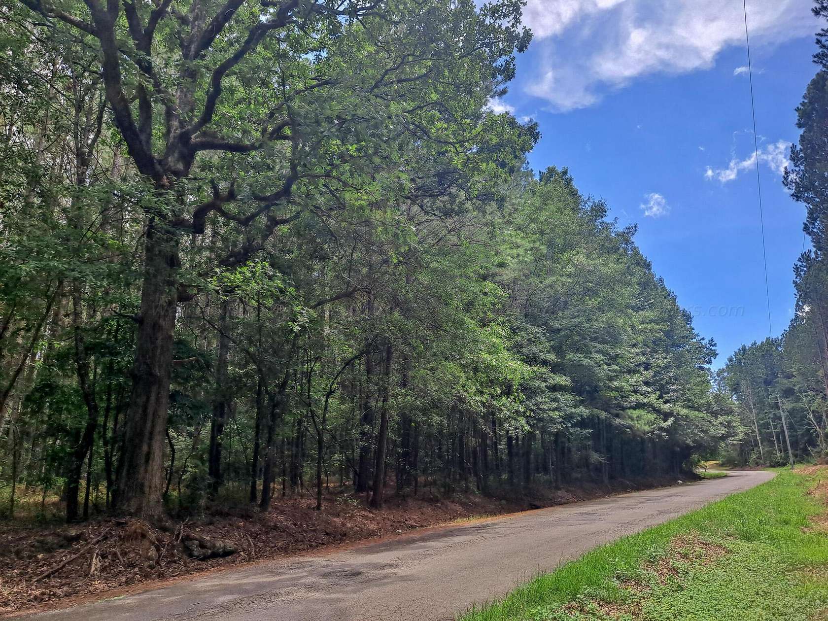 27 Acres of Land for Sale in Nauvoo, Alabama