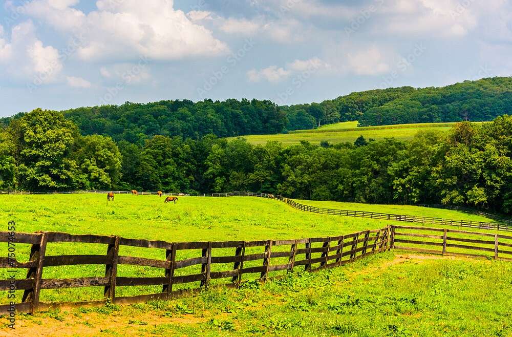30 Acres of Agricultural Land for Sale in Lexington, Virginia