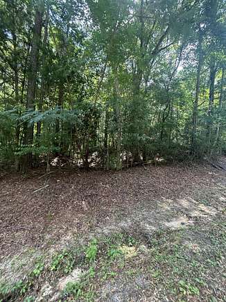 2.33 Acres of Residential Land for Sale in Andalusia, Alabama